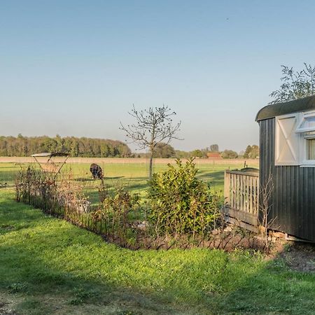 Pipowagen Lidewei Groningen Westerwolde unieke ligging met eigen tuin en vrij uitzicht over veld naar natuurgebied Bed and Breakfast Onstwedde Buitenkant foto