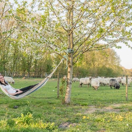 Pipowagen Lidewei Groningen Westerwolde unieke ligging met eigen tuin en vrij uitzicht over veld naar natuurgebied Bed and Breakfast Onstwedde Buitenkant foto