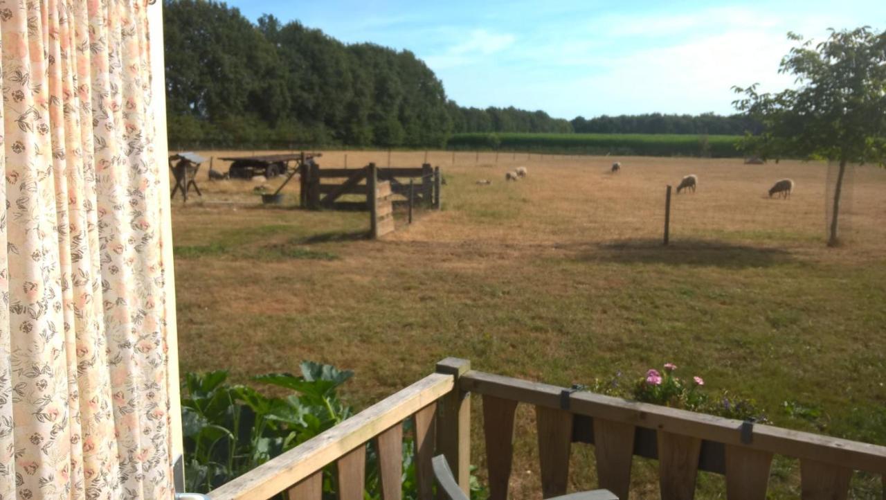 Pipowagen Lidewei Groningen Westerwolde unieke ligging met eigen tuin en vrij uitzicht over veld naar natuurgebied Bed and Breakfast Onstwedde Buitenkant foto