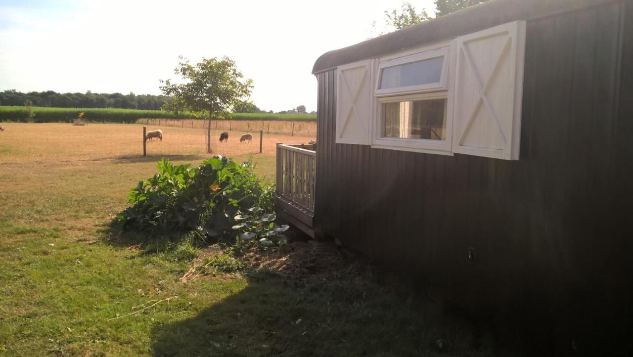 Pipowagen Lidewei Groningen Westerwolde unieke ligging met eigen tuin en vrij uitzicht over veld naar natuurgebied Bed and Breakfast Onstwedde Buitenkant foto