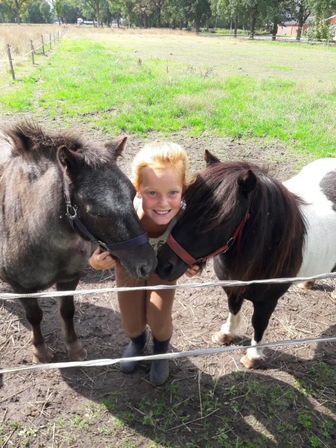 Pipowagen Lidewei Groningen Westerwolde unieke ligging met eigen tuin en vrij uitzicht over veld naar natuurgebied Bed and Breakfast Onstwedde Buitenkant foto