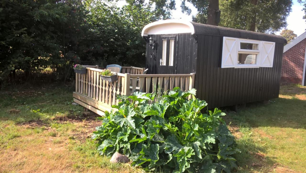 Pipowagen Lidewei Groningen Westerwolde unieke ligging met eigen tuin en vrij uitzicht over veld naar natuurgebied Bed and Breakfast Onstwedde Buitenkant foto