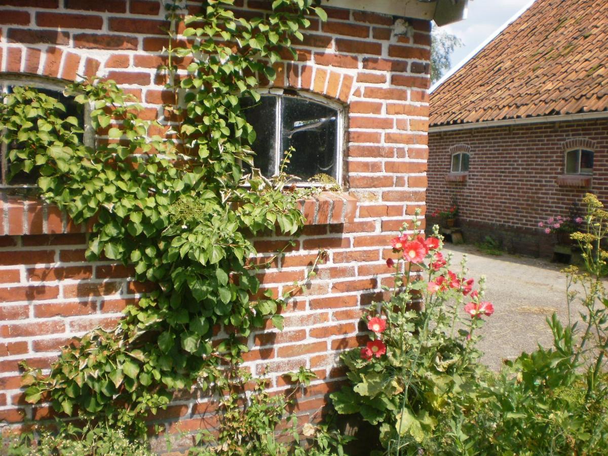 Pipowagen Lidewei Groningen Westerwolde unieke ligging met eigen tuin en vrij uitzicht over veld naar natuurgebied Bed and Breakfast Onstwedde Buitenkant foto