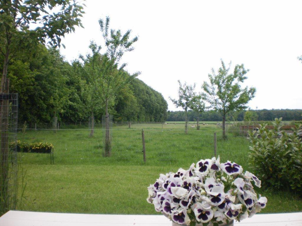 Pipowagen Lidewei Groningen Westerwolde unieke ligging met eigen tuin en vrij uitzicht over veld naar natuurgebied Bed and Breakfast Onstwedde Buitenkant foto