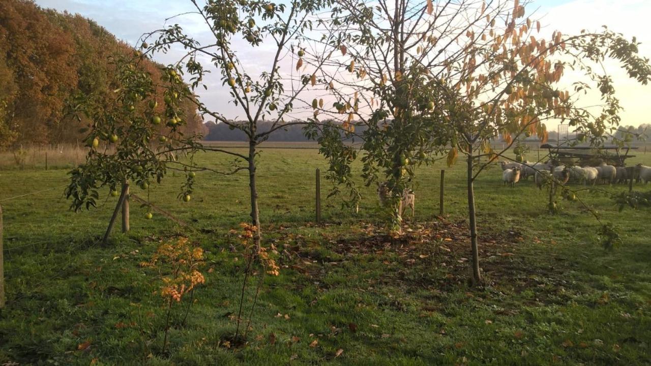 Pipowagen Lidewei Groningen Westerwolde unieke ligging met eigen tuin en vrij uitzicht over veld naar natuurgebied Bed and Breakfast Onstwedde Buitenkant foto