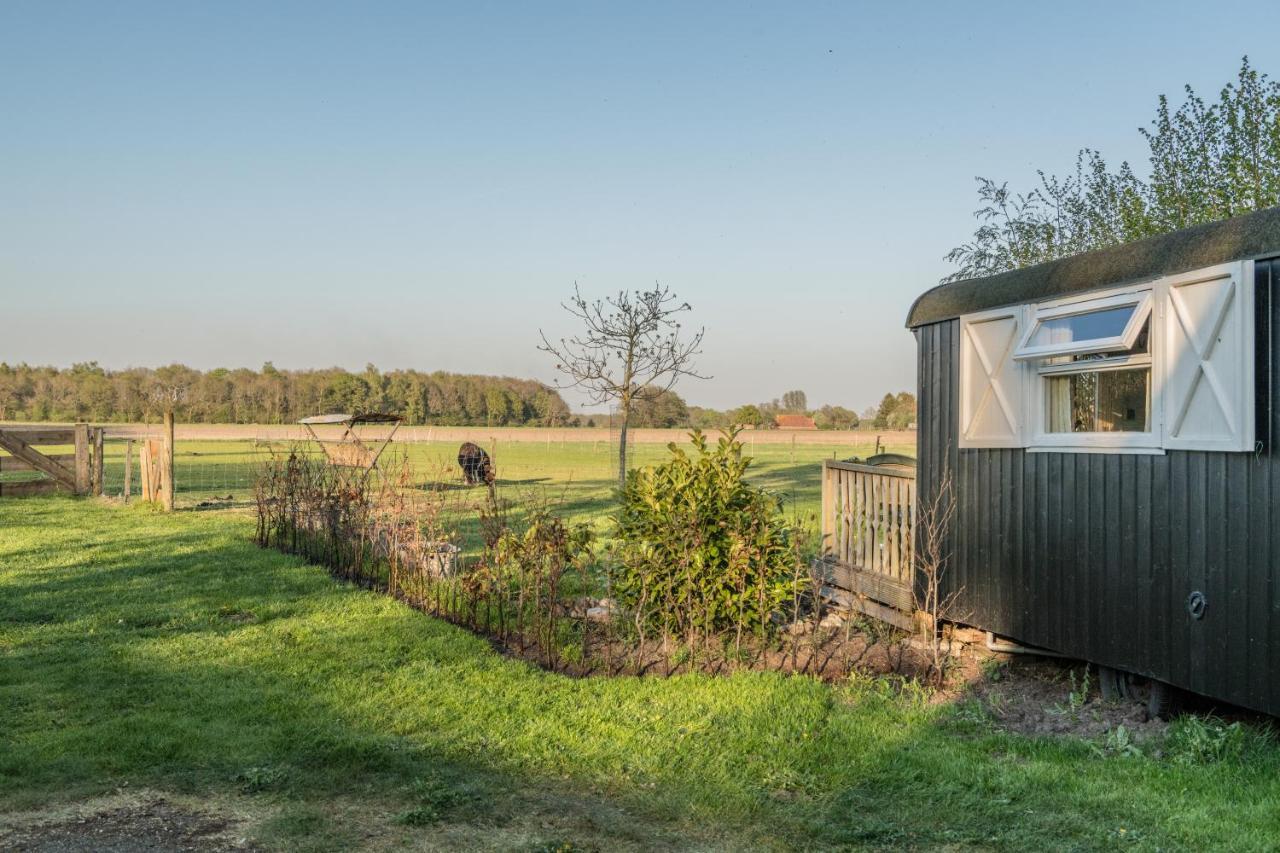 Pipowagen Lidewei Groningen Westerwolde unieke ligging met eigen tuin en vrij uitzicht over veld naar natuurgebied Bed and Breakfast Onstwedde Buitenkant foto