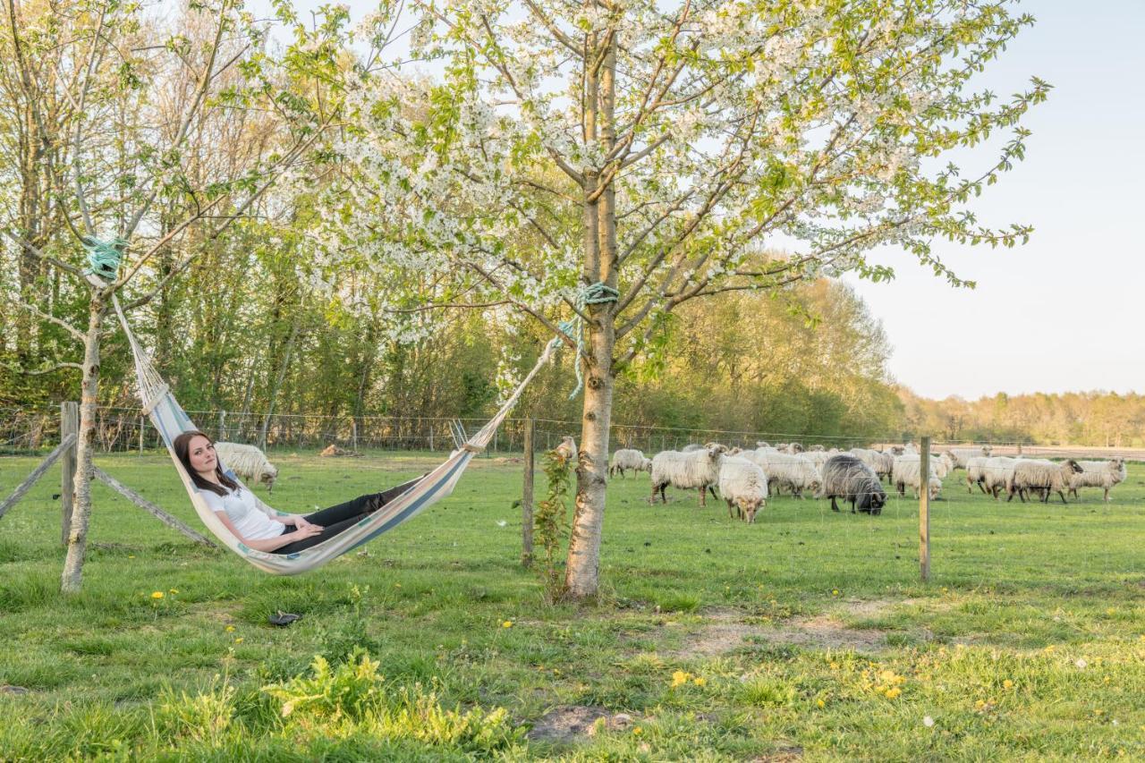 Pipowagen Lidewei Groningen Westerwolde unieke ligging met eigen tuin en vrij uitzicht over veld naar natuurgebied Bed and Breakfast Onstwedde Buitenkant foto