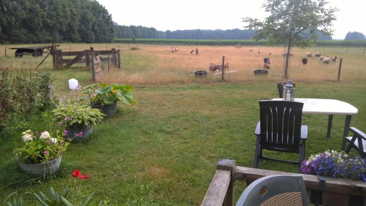 Pipowagen Lidewei Groningen Westerwolde unieke ligging met eigen tuin en vrij uitzicht over veld naar natuurgebied Bed and Breakfast Onstwedde Buitenkant foto