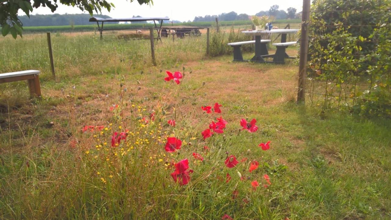 Pipowagen Lidewei Groningen Westerwolde unieke ligging met eigen tuin en vrij uitzicht over veld naar natuurgebied Bed and Breakfast Onstwedde Buitenkant foto