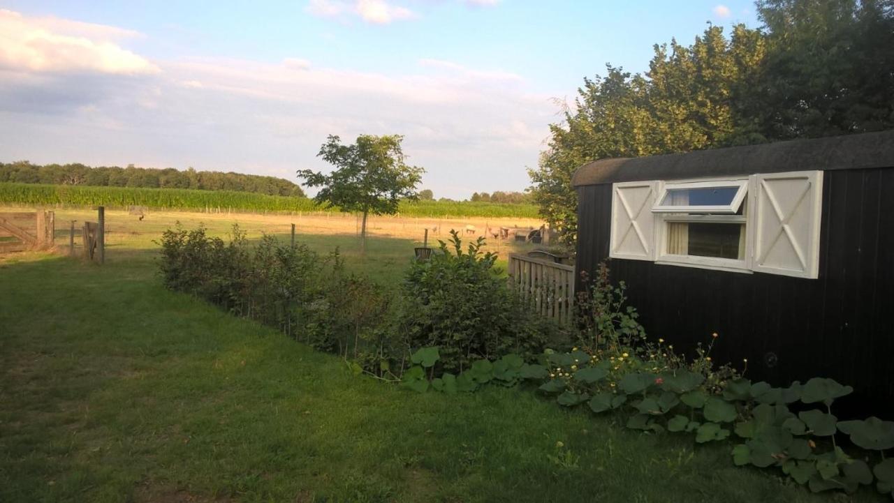 Pipowagen Lidewei Groningen Westerwolde unieke ligging met eigen tuin en vrij uitzicht over veld naar natuurgebied Bed and Breakfast Onstwedde Buitenkant foto